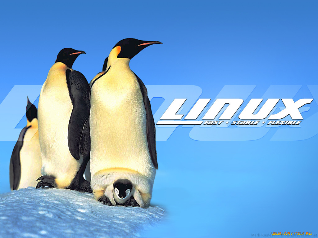 linux, 